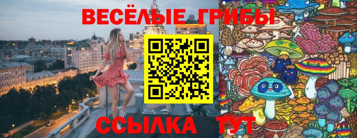 Галлюциногенные грибы мухоморы Сыктывкар