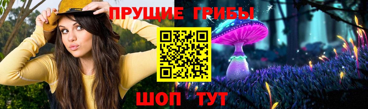 Галлюциногенные грибы Psilocybine cubensis  Вход с VPN  Сыктывкар 